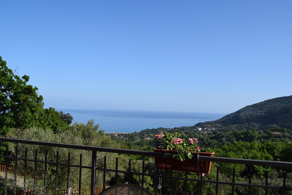 Apartamento Al Boschetto Scario Exterior foto
