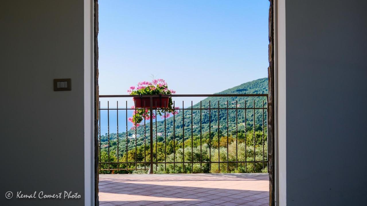 Apartamento Al Boschetto Scario Exterior foto