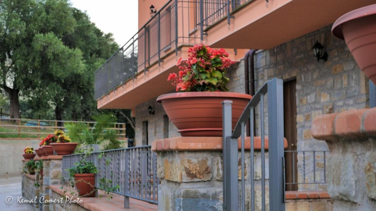 Apartamento Al Boschetto Scario Exterior foto