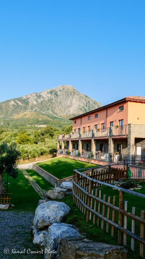 Apartamento Al Boschetto Scario Exterior foto